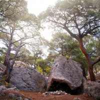 настроение :: Фотограф Дарья Скугарева