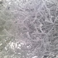 Зима :: Снежанна Ключик