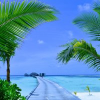 Maldives :: Элина P