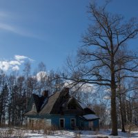 Хижина в лесу :: Григорий Храмов