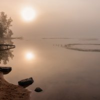 В тумане :: Евгений Плетнев