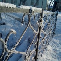 Снежный заборчик :: Маргарита Бахтина