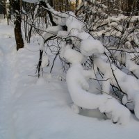 Увлеклись и замерзли :: Валерий Струк 