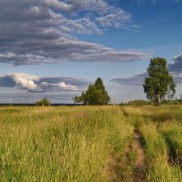 Вечерняя прогулка :: Наталья Гжельская