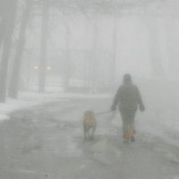Весна, туман, прогулки в любую погоду. :: Александр Бурилов