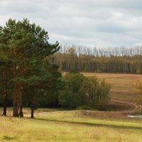 Осенняя пастель :: Анастасия Богатова