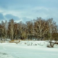 В голубых тонах. :: Анатолий. Chesnavik.