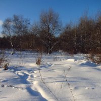 Уже небо голубое! Весна близко! :: Андрей Лукьянов