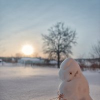 Мороз и солнце.... :: Женя Лузгин