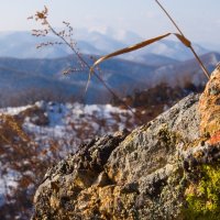 Севера. :: ирм. Феодосий Олег Раздобреев