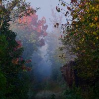 Осень в тумане :: Вера 