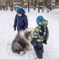 Манечка и мальчики :: Лариса Батурова