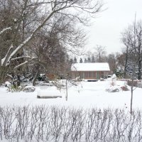 Зима в ботаническом саду :: Наталия Короткова