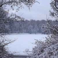 Январские зарисовки :: Маргарита Батырева