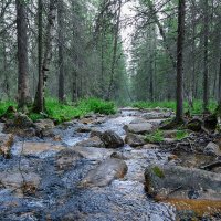 Подножия Большого Иремеля :: Евгений Дольников