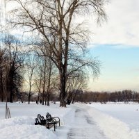 " Мороз и солнце, день чудесный..." :: Larisa Ereshchenko