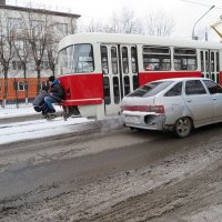 зайцы :: Вадим Бурмистров