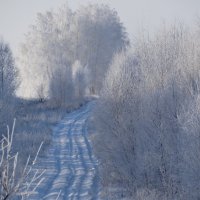 дороги.... :: Дмитрий Денисов