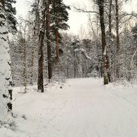 Зимний пейзаж :: Милешкин Владимир Алексеевич 