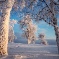 Куржак :: Ежъ Осипов