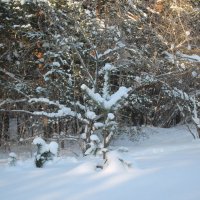 Бийск :: Олег Афанасьевич Сергеев