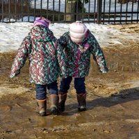 Близняшки водомерочки. :: Анатолий. Chesnavik.