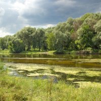 перед дождём. :: Валентина Домашкина