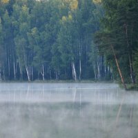 В тихой заводи.... :: Юрий Цыплятников