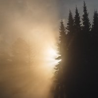 В лучах и тумане. :: евгения 
