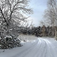 Почти банальное затишье... :: Лесо-Вед (Баранов)