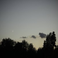 Почти ночное небо :: Вера Аксёнова