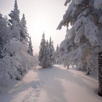 Рассвет :: Владимир Кочкин