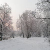 Зарисовка :: Евгений Герасименко