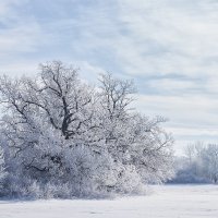 *** :: Илья Костин