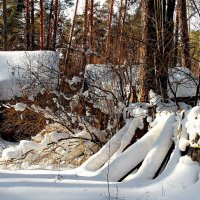 До весны отдыхает подворье... :: Лесо-Вед (Баранов)