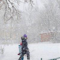 Снежит :: Валерий Талашов