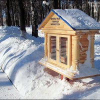 ВЛАДИМИР  ПРОВИНЦИАЛЬНЫЙ :: Валерий Викторович РОГАНОВ-АРЫССКИЙ