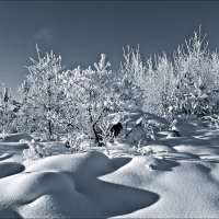 Зимнее :: Leonid Rutov