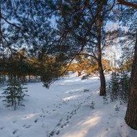 Зимняя зарисовка :: Евгений Герасименко