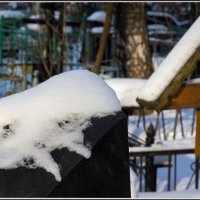 В солнечный день... :: Михаил Розенберг