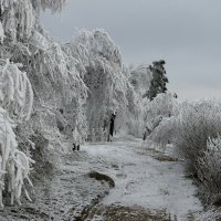 зима :: Игорь Kуленко