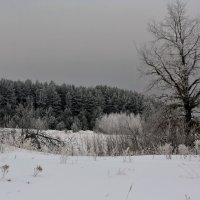 Февральский денёк :: Николай Масляев