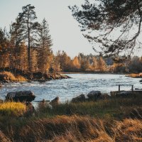 Село Машозеро :: Ольга Нежикова