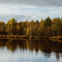 Карелия :: Ольга Нежикова