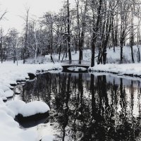 Зимний парк :: Александр Михайлов