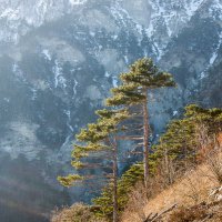 Склон в лучах заходящего солнца :: Сергей Яворский