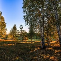 вечернее :: Василий Иваненко