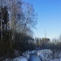 зимний московский пейзаж :: megaden774 