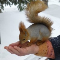 Центральный парк культуры и отдыха им. Горького :: Наиля 