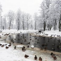 Зимний парк :: Александр Михайлов